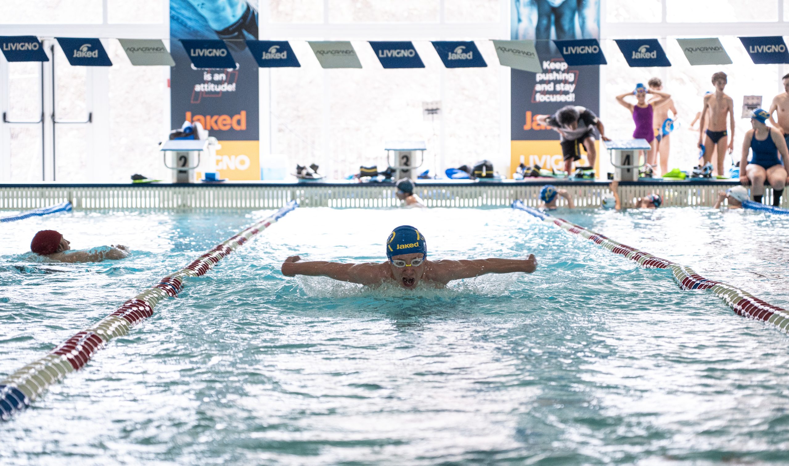 SWIMMING STARS